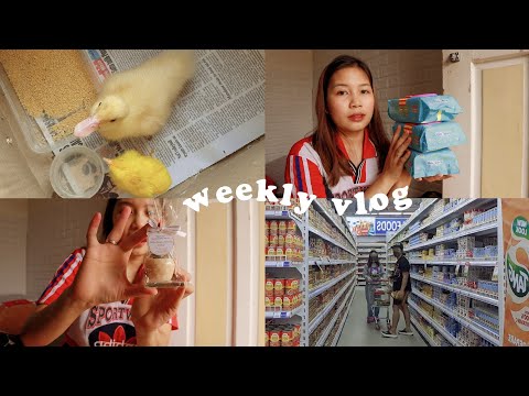 Birthday Souvenir Idea, New Pet, & Unboxing PR Package