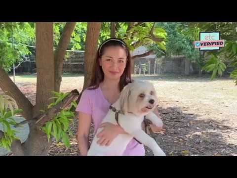 ETC Verified: Taking care of your dog tips with Roxanne Montealegre
